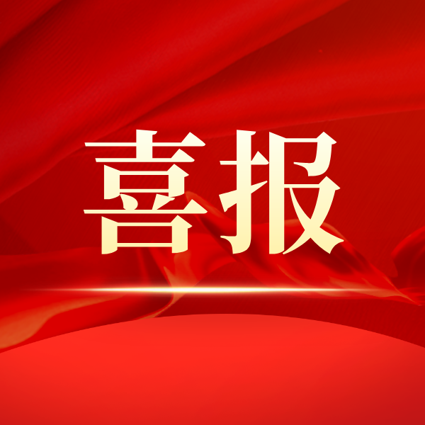 上海智服荣膺2025上海百强企业四项榜单，民营力量赋能城市高质量发展​